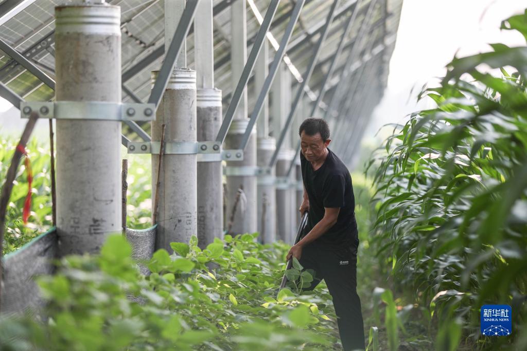 永利环球官网